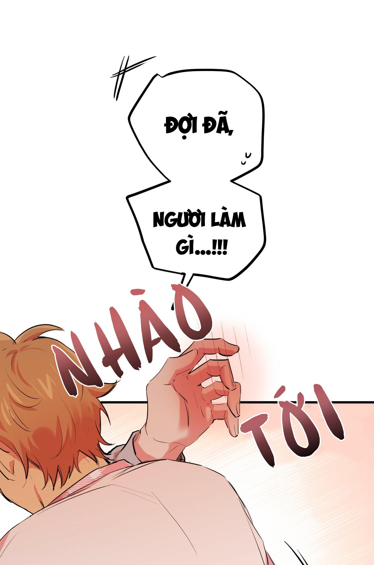 NHỮNG CHÚ THỎ CỦA HAPYPY Chapter 17 - Next Chapter 18