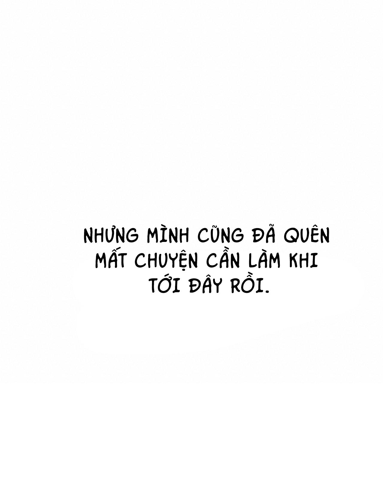 NHỮNG CHÚ THỎ CỦA HAPYPY Chapter 19 - Next Chapter 20