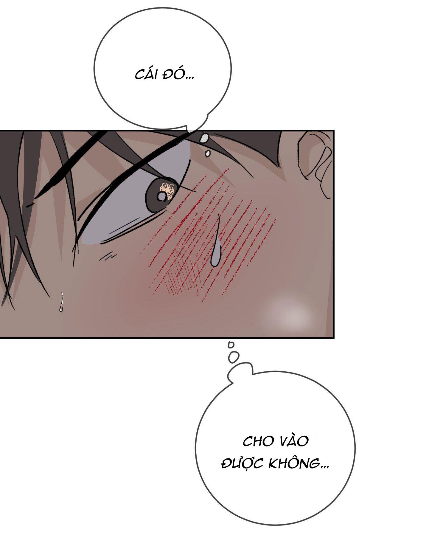 Đêm Mùa Hè Có Hoa Lupin Chapter 10 - Next Chapter 11