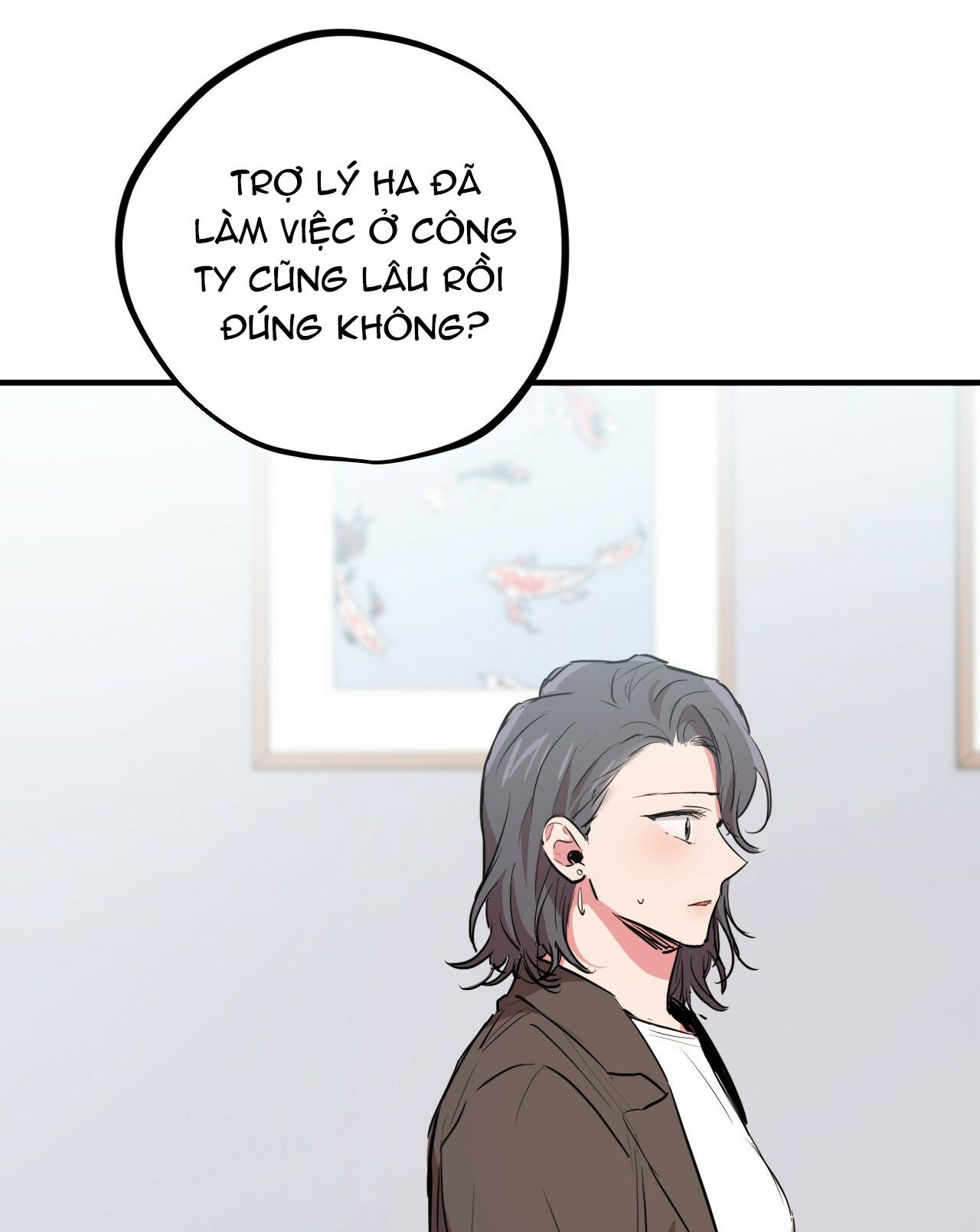 NHỮNG CHÚ THỎ CỦA HAPYPY Chapter 20 - Next 