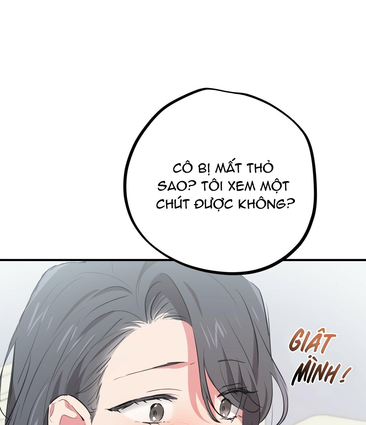 NHỮNG CHÚ THỎ CỦA HAPYPY Chapter 20 - Next 