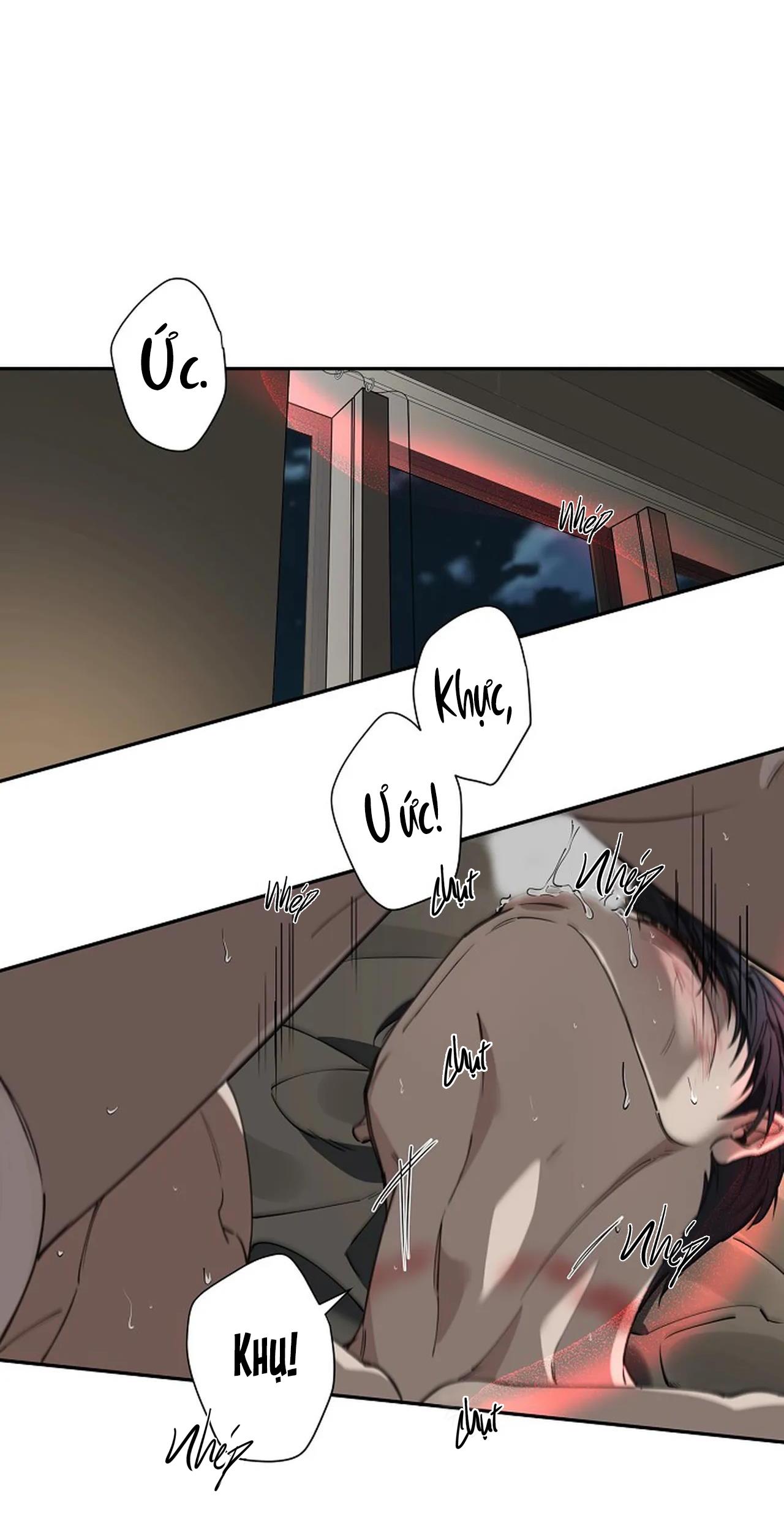 ĐÊM DỊU DÀNG Chapter 4 - Next Chapter 5