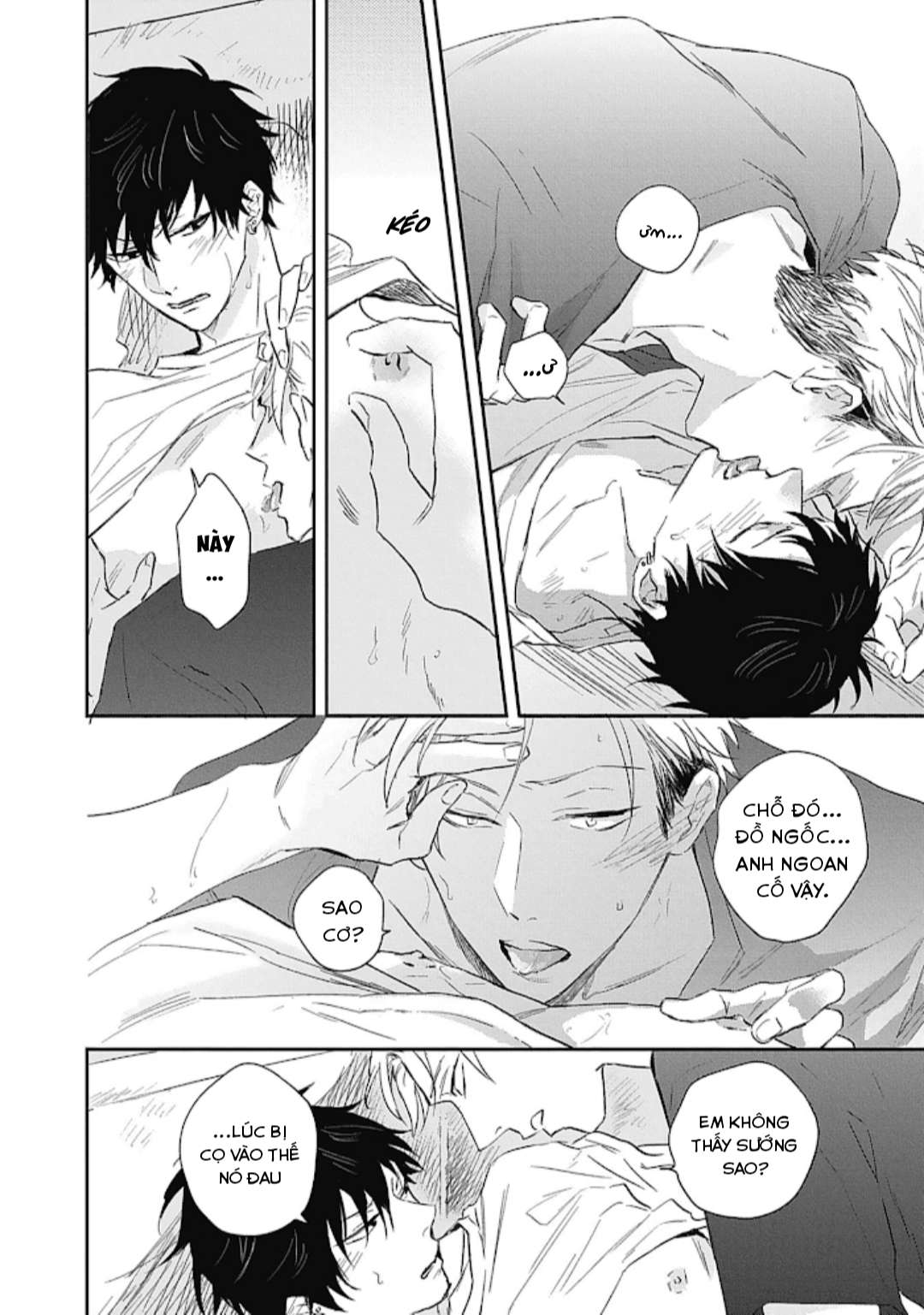 NGƯỜI YÊU NGỌT NGÀO CỦA TÔI Chapter 5 - Next Chapter 5.5