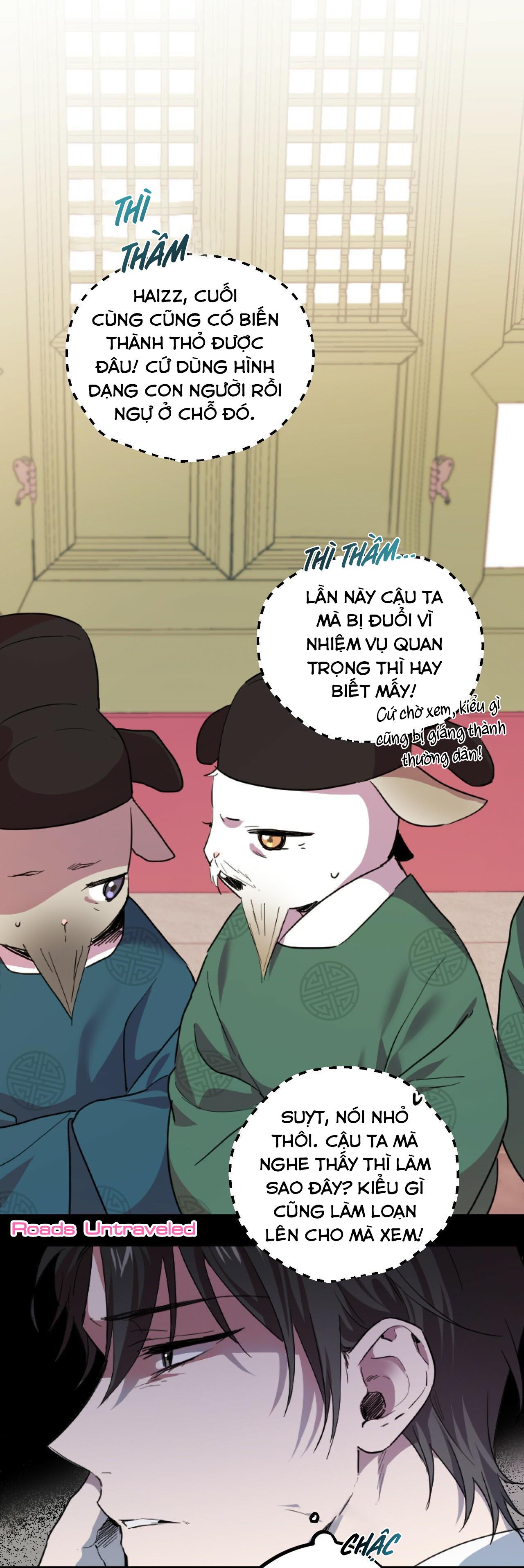 NHỮNG CHÚ THỎ CỦA HABIBI Chapter 1 - Next Chapter 2