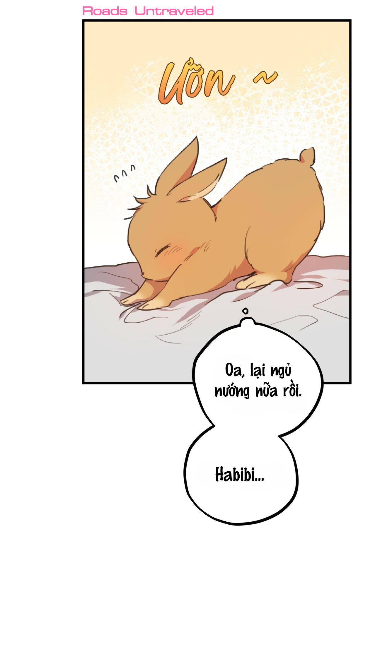 NHỮNG CHÚ THỎ CỦA HABIBI Chapter 1 - Next Chapter 2
