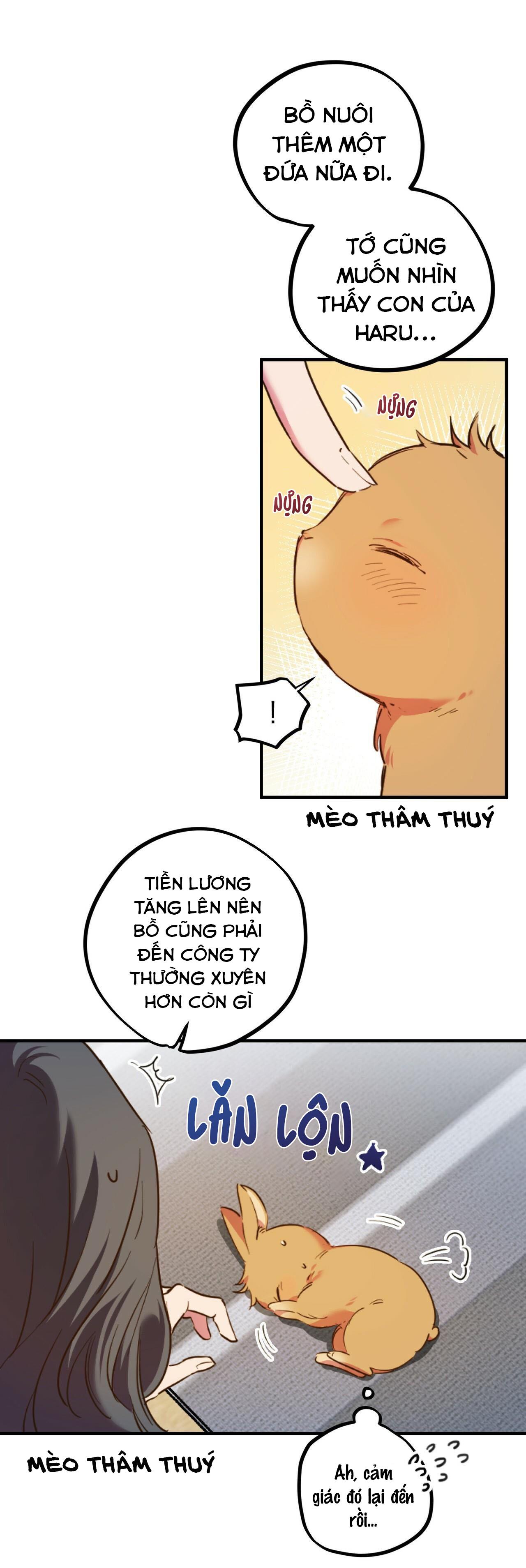 NHỮNG CHÚ THỎ CỦA HABIBI Chapter 1 - Next Chapter 2