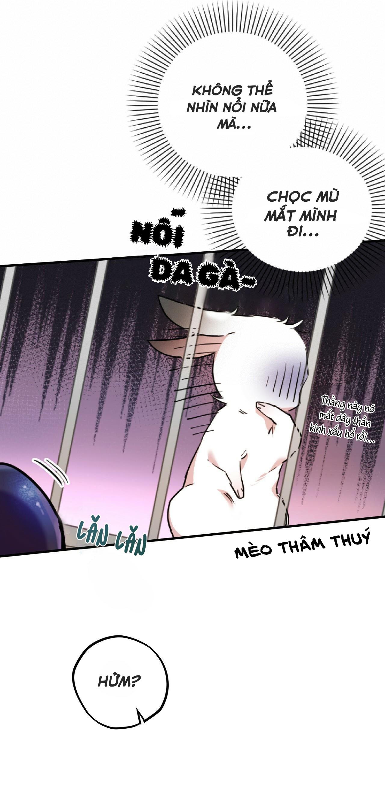 NHỮNG CHÚ THỎ CỦA HABIBI Chapter 2 - Next Chapter 3