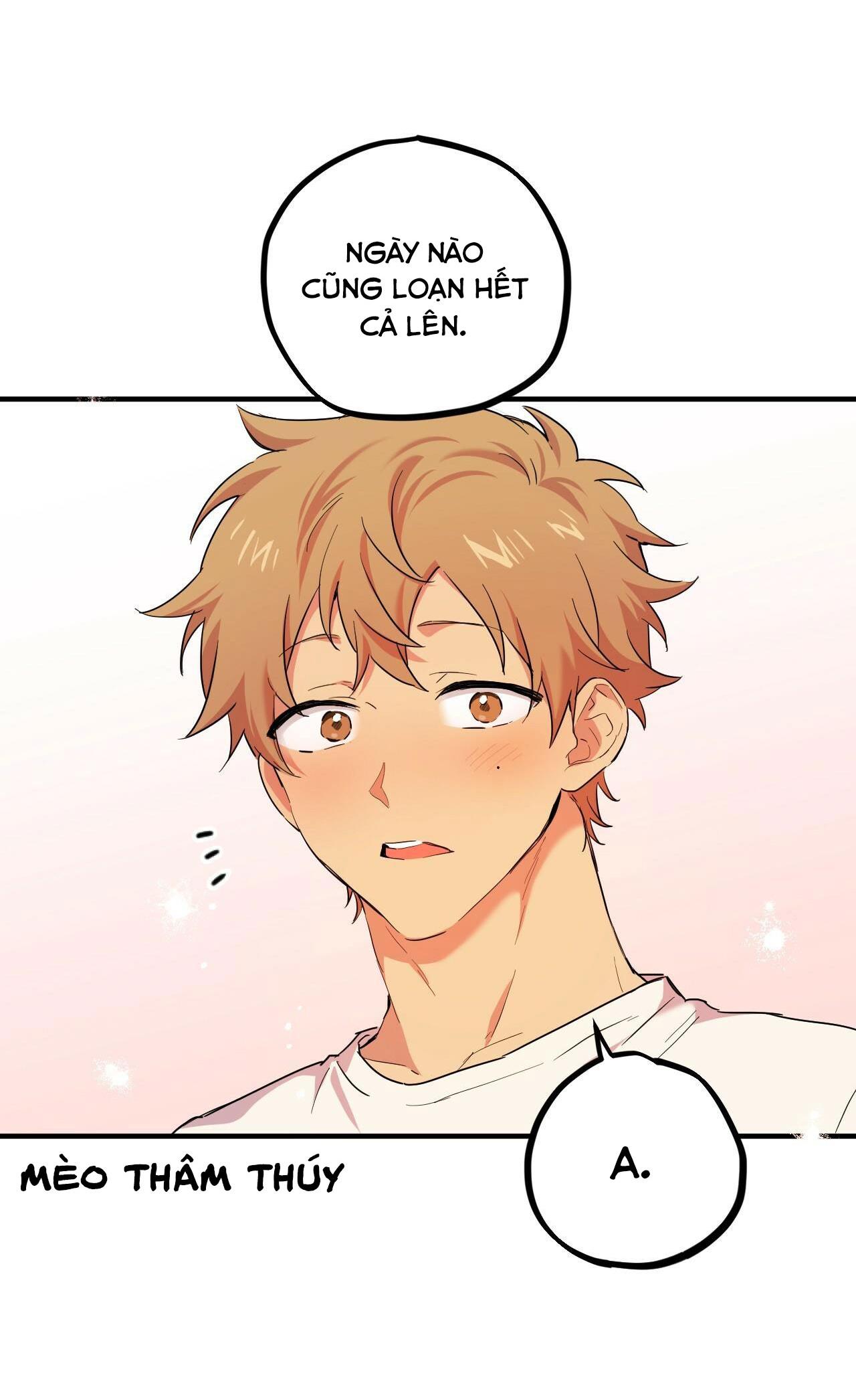 NHỮNG CHÚ THỎ CỦA HABIBI Chapter 3 - Next Chapter 4