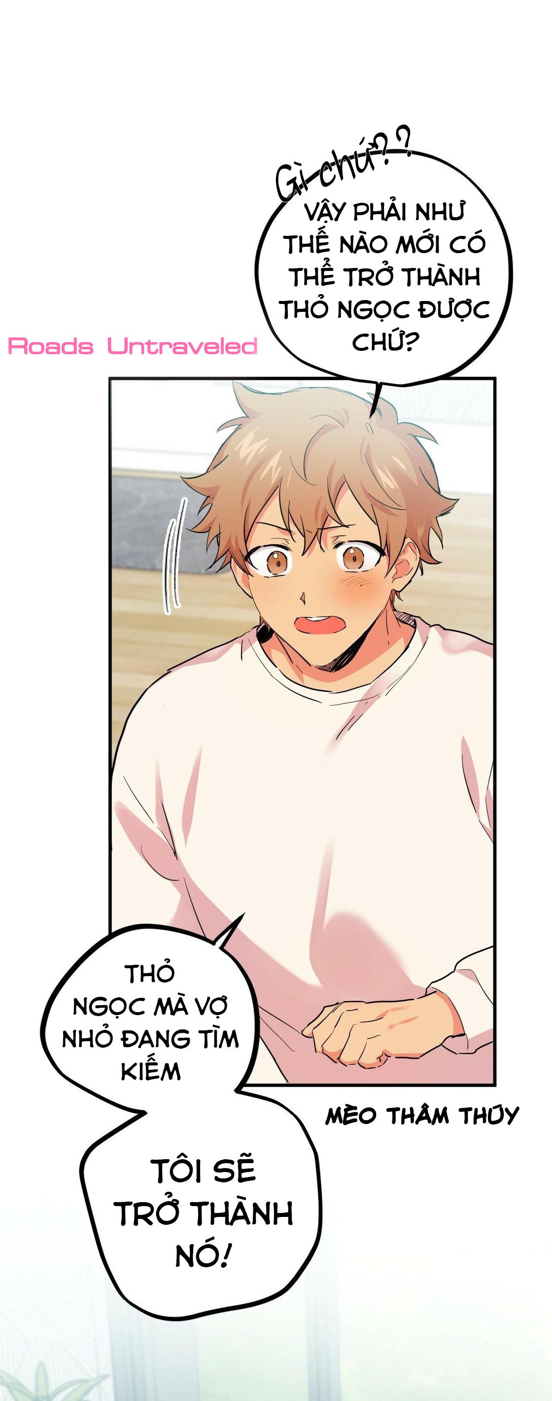 NHỮNG CHÚ THỎ CỦA HABIBI Chapter 5 - Next Chapter 6