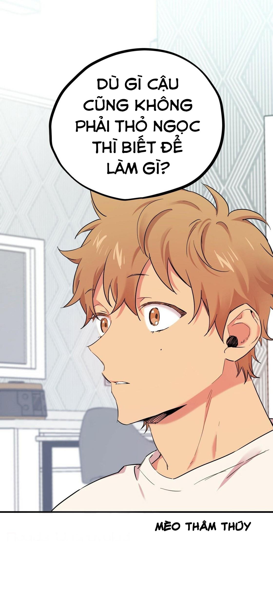 NHỮNG CHÚ THỎ CỦA HABIBI Chapter 5 - Next Chapter 6