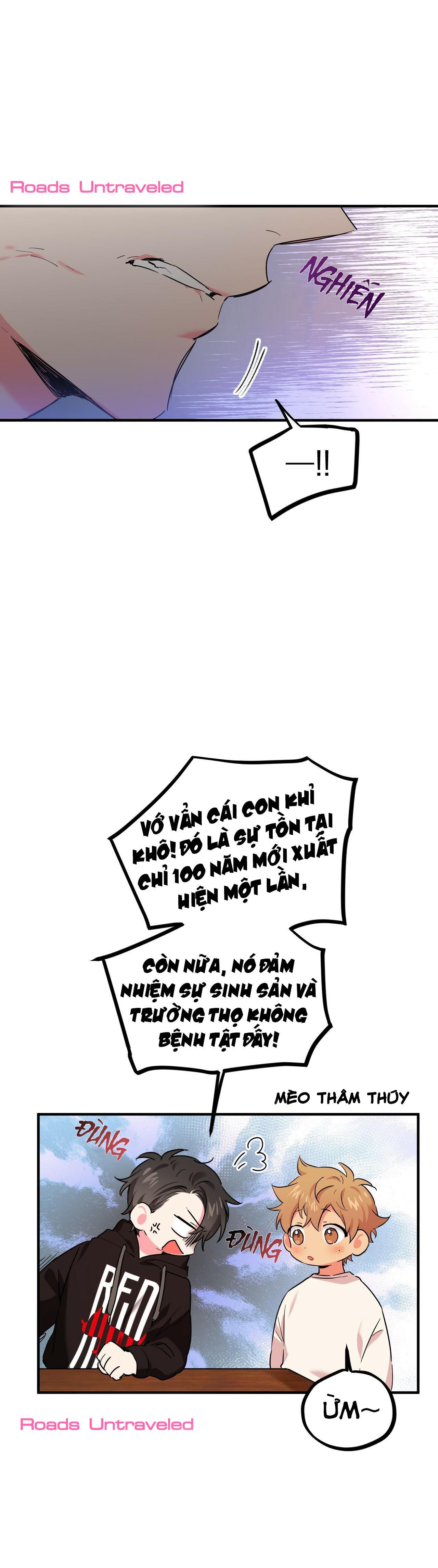 NHỮNG CHÚ THỎ CỦA HABIBI Chapter 5 - Next Chapter 6