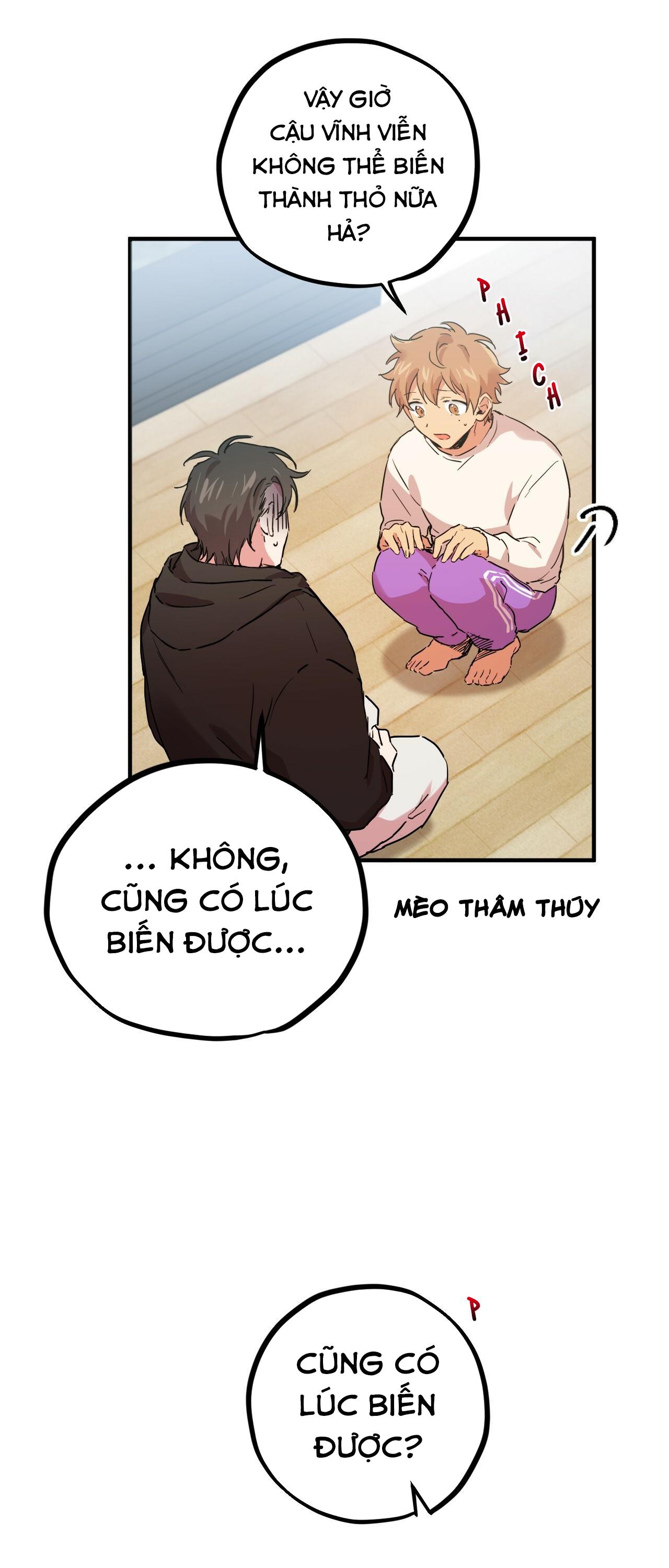 NHỮNG CHÚ THỎ CỦA HABIBI Chapter 6 - Next Chapter 7