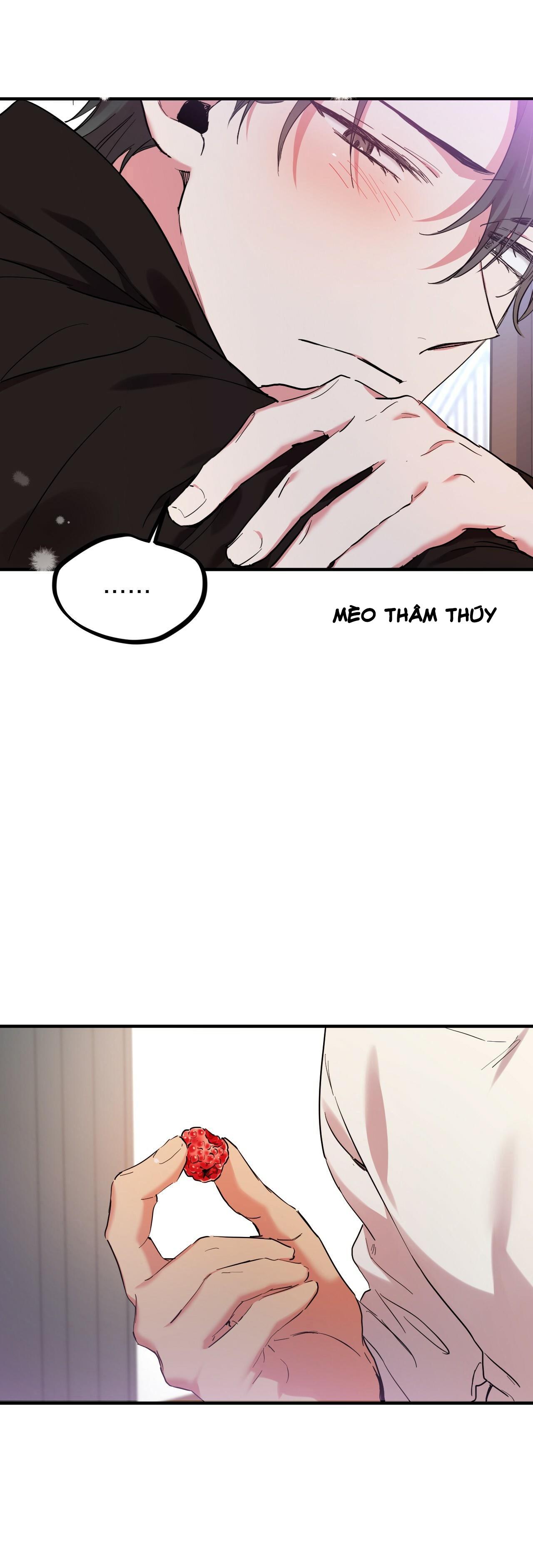 NHỮNG CHÚ THỎ CỦA HABIBI Chapter 7 - Next Chapter 8