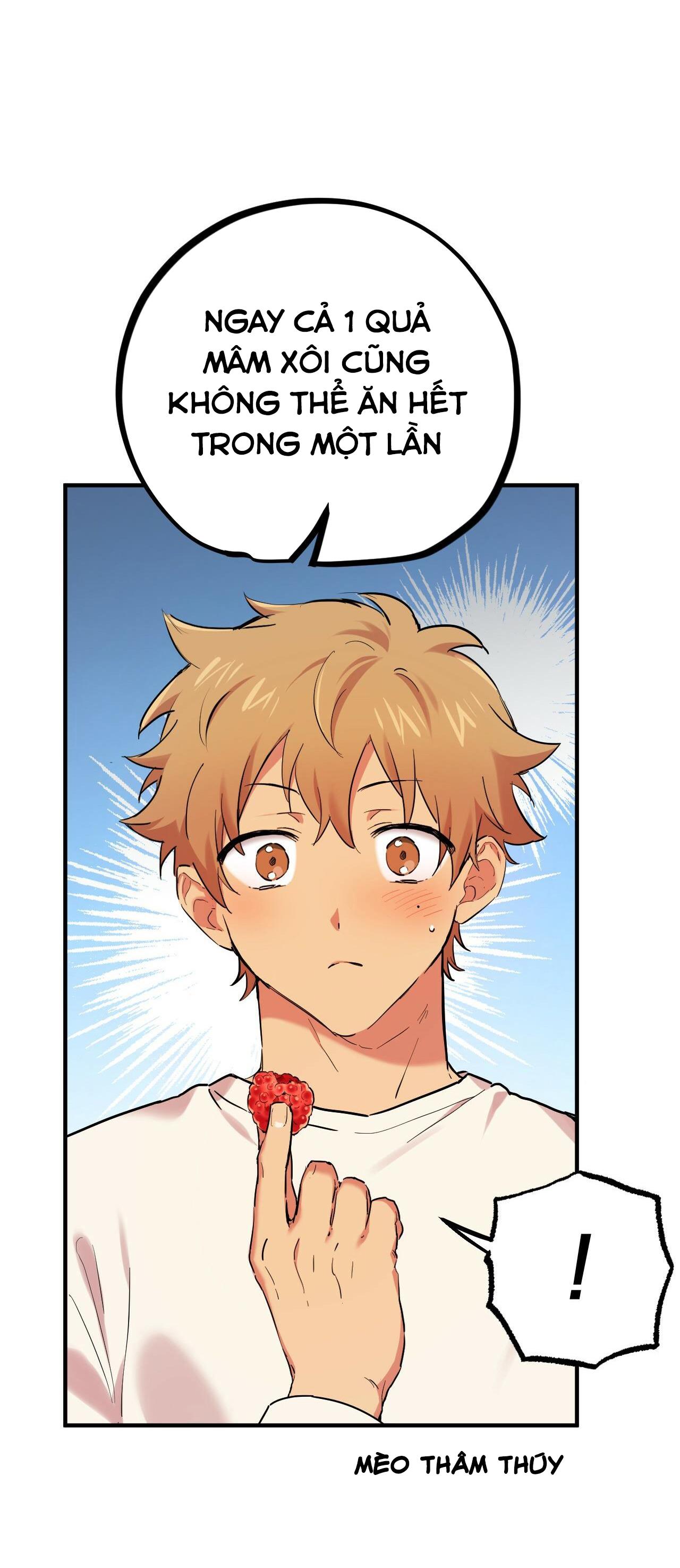 NHỮNG CHÚ THỎ CỦA HABIBI Chapter 7 - Next Chapter 8