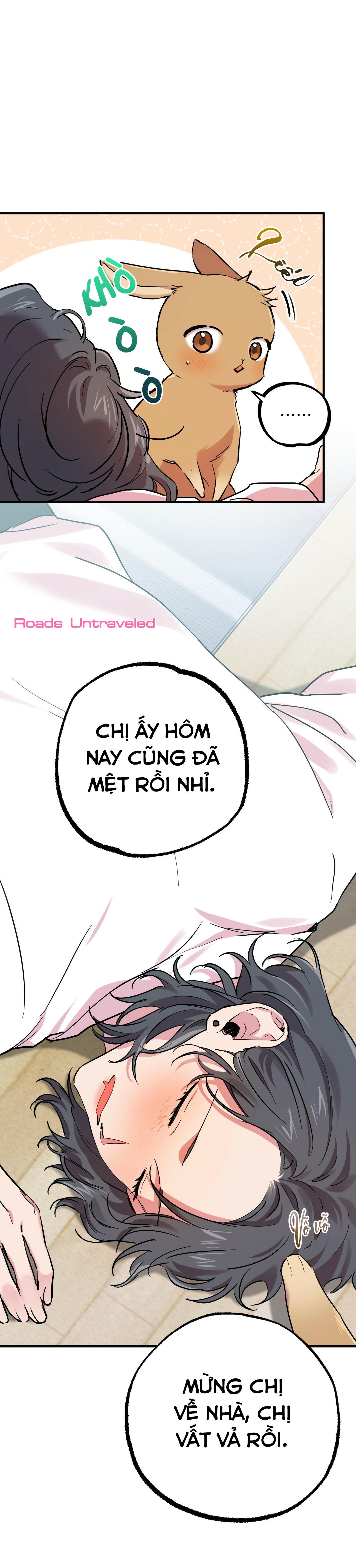 NHỮNG CHÚ THỎ CỦA HABIBI Chapter 7 - Next Chapter 8
