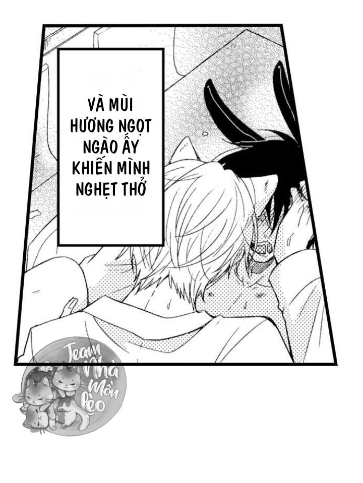 Em Muốn Được Yêu Chapter 4 - Next Chapter 5