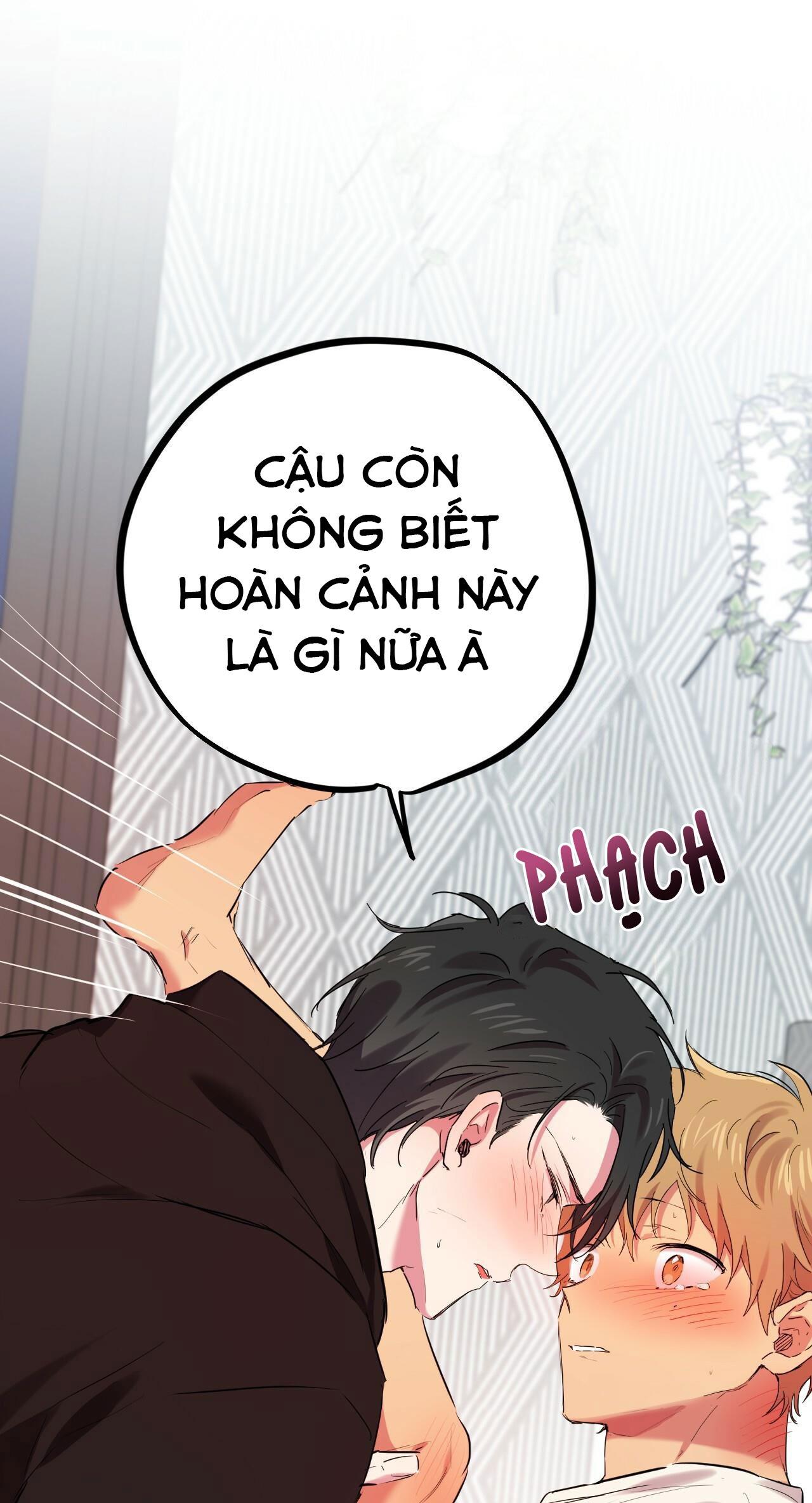 NHỮNG CHÚ THỎ CỦA HABIBI Chapter 9 - Next CHƯƠNG 9 (H)