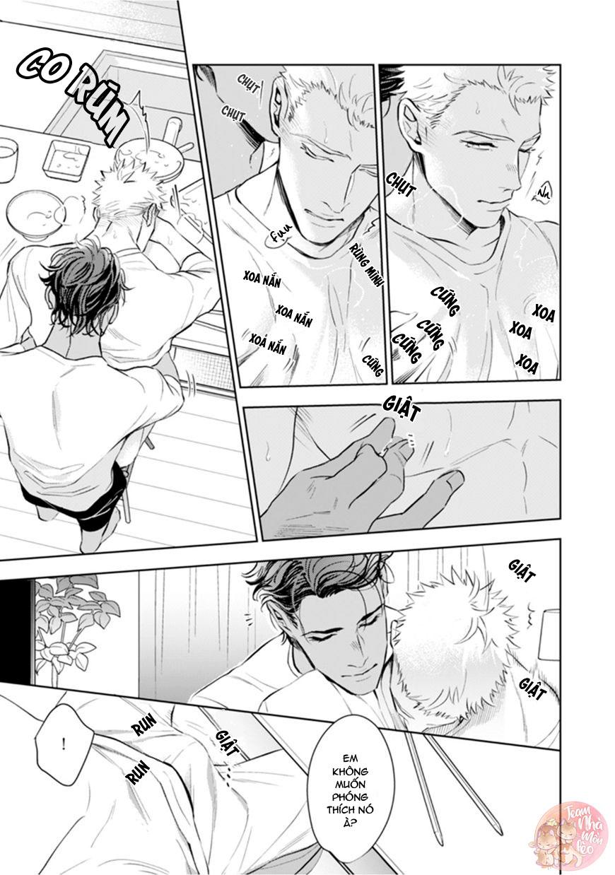 Vợ Của Alpha Chapter 2 - Next Chapter 3