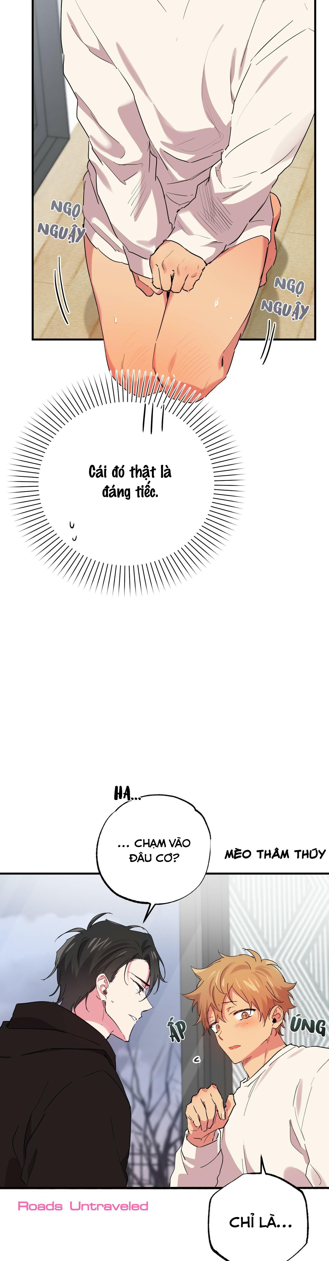 NHỮNG CHÚ THỎ CỦA HABIBI Chapter 10 - Next Chapter 11