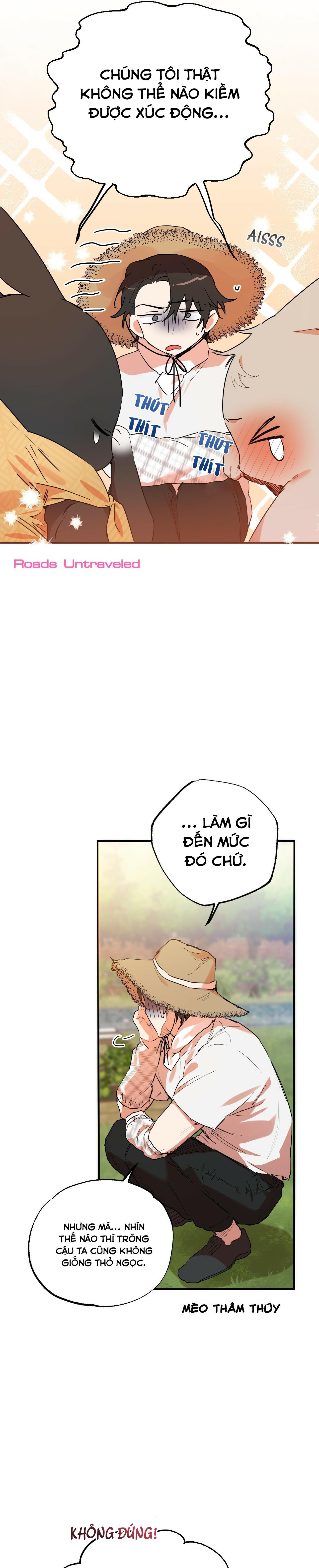 NHỮNG CHÚ THỎ CỦA HABIBI Chapter 10 - Next Chapter 11