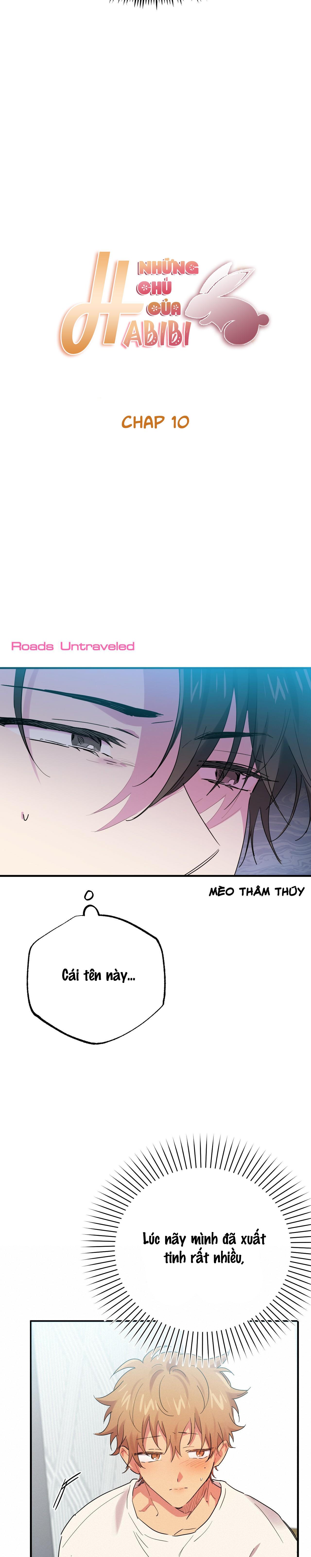 NHỮNG CHÚ THỎ CỦA HABIBI Chapter 10 - Next Chapter 11