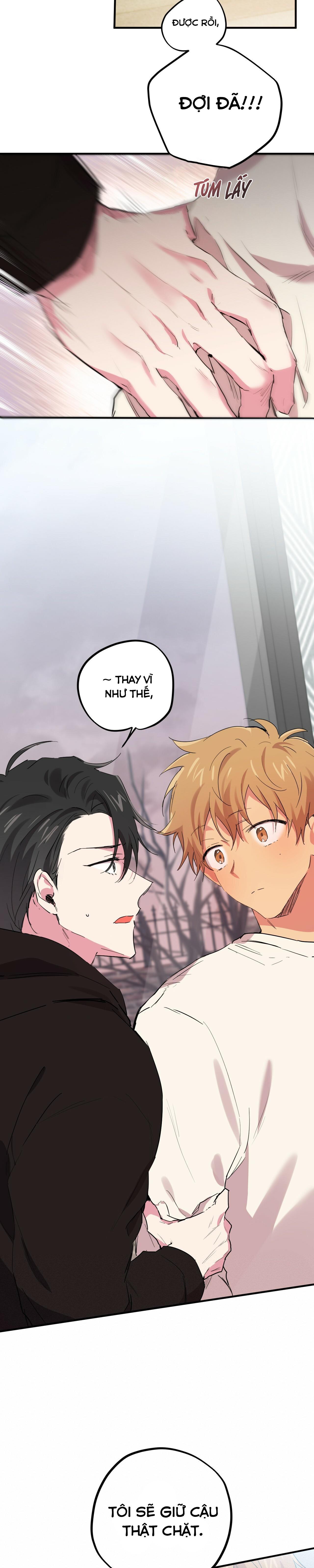 NHỮNG CHÚ THỎ CỦA HABIBI Chapter 10 - Next Chapter 11