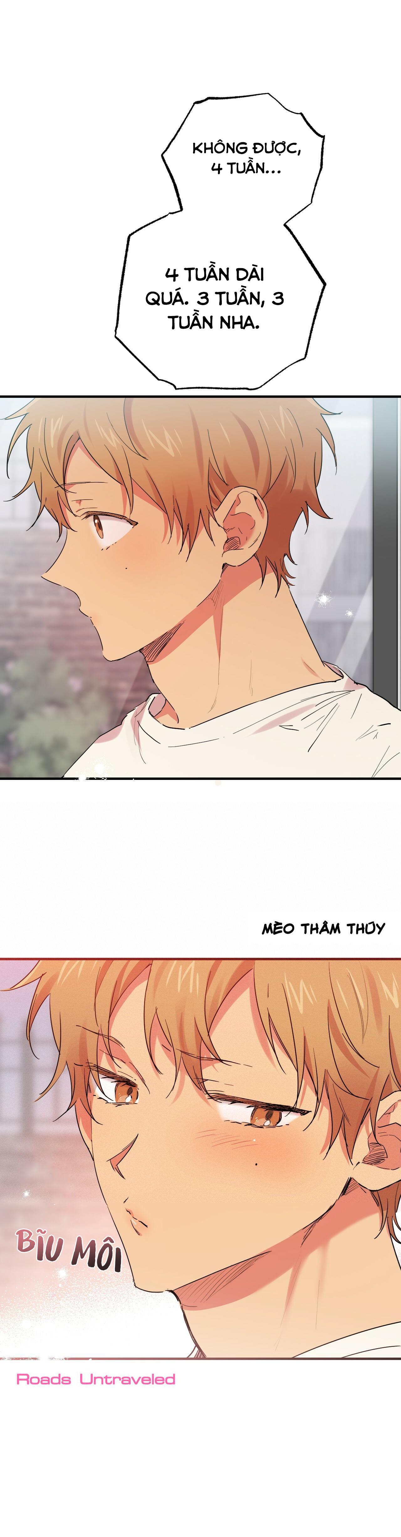 NHỮNG CHÚ THỎ CỦA HABIBI Chapter 10 - Next Chapter 11