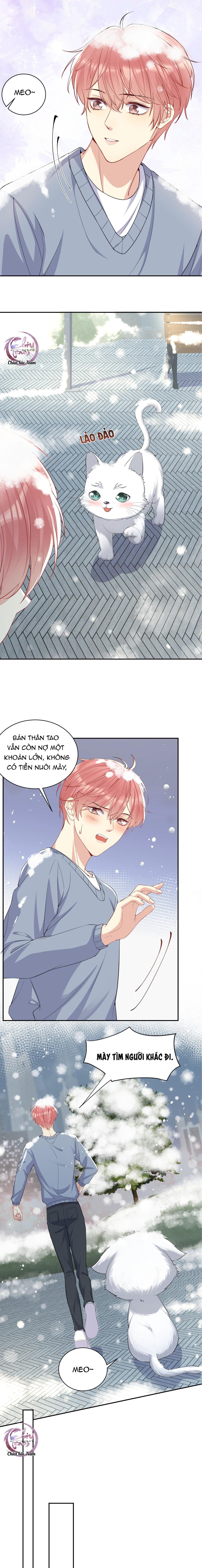 Lại Bị Bạn Trai Cũ Nhắm Trúng Rồi! Chapter 8 - Next Chapter 9