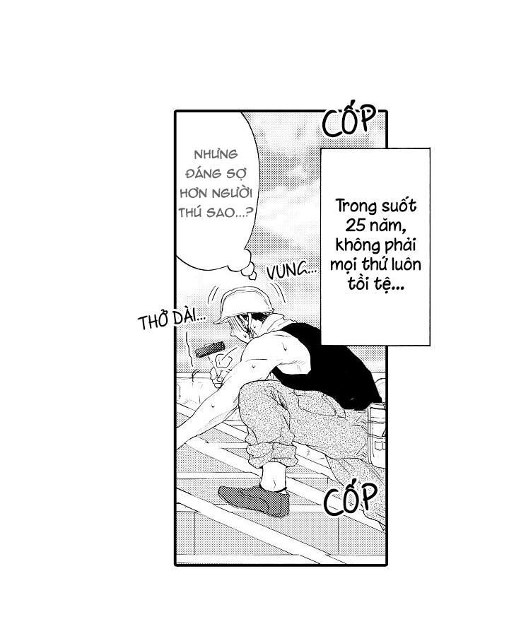 HỔ CÁI CỦA TAIGA Chapter 1 - Next Chapter 2