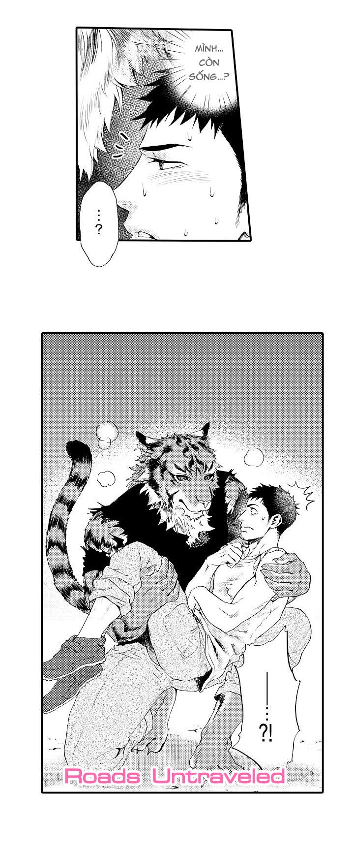 HỔ CÁI CỦA TAIGA Chapter 1 - Next Chapter 2