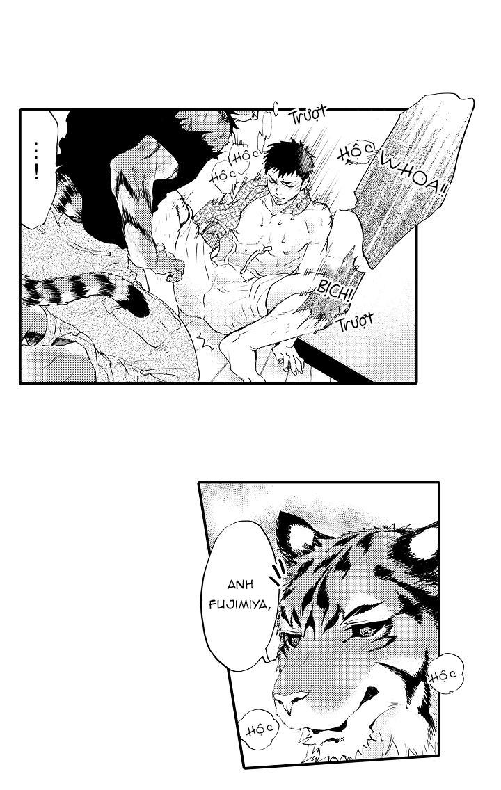 HỔ CÁI CỦA TAIGA Chapter 2 - Next Chapter 3
