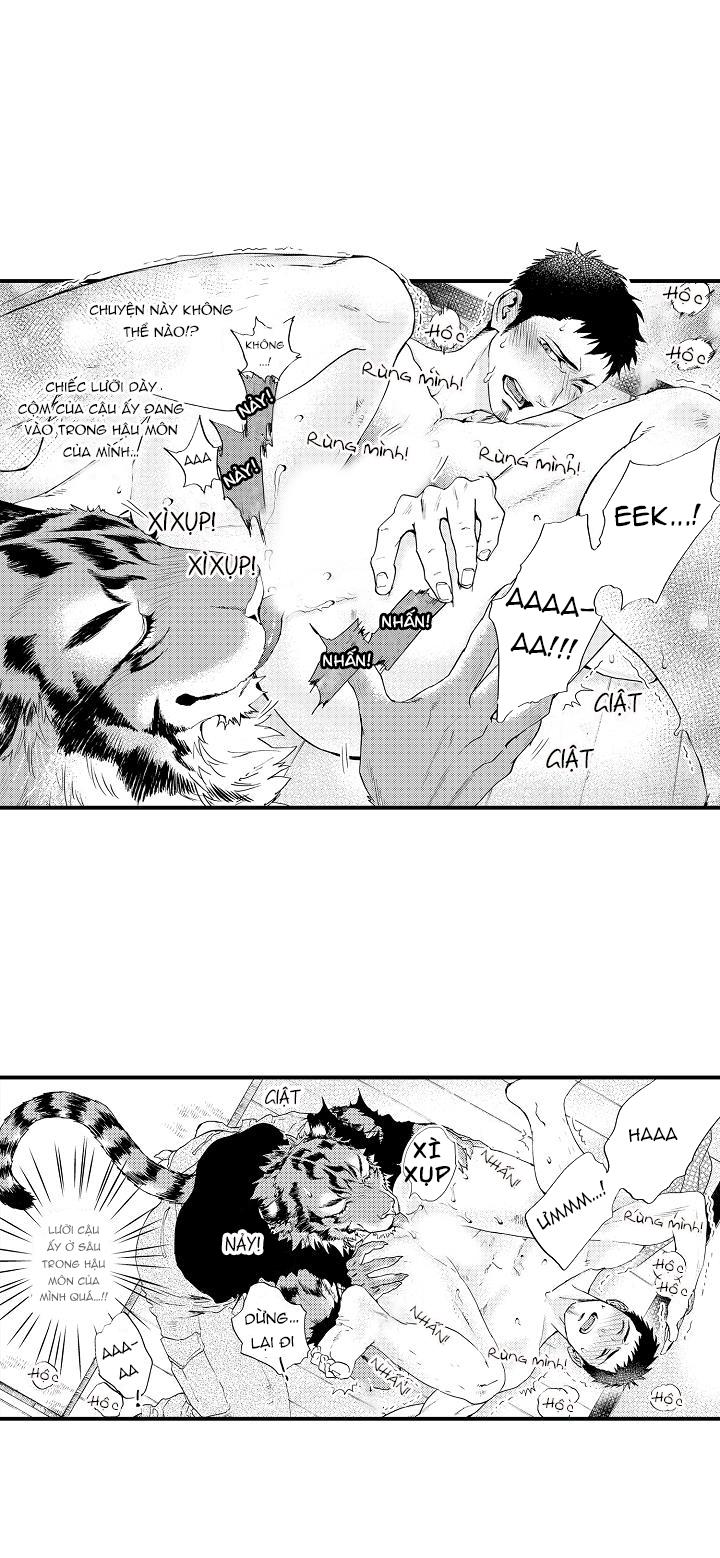 HỔ CÁI CỦA TAIGA Chapter 2 - Next Chapter 3