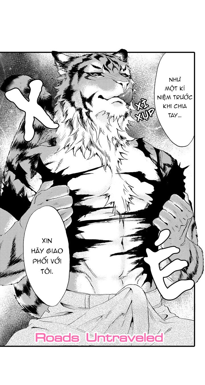 HỔ CÁI CỦA TAIGA Chapter 2 - Next Chapter 3