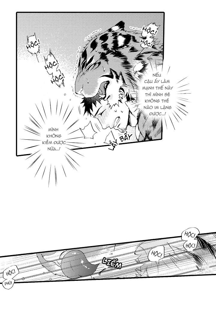HỔ CÁI CỦA TAIGA Chapter 5 - Next Chapter 6