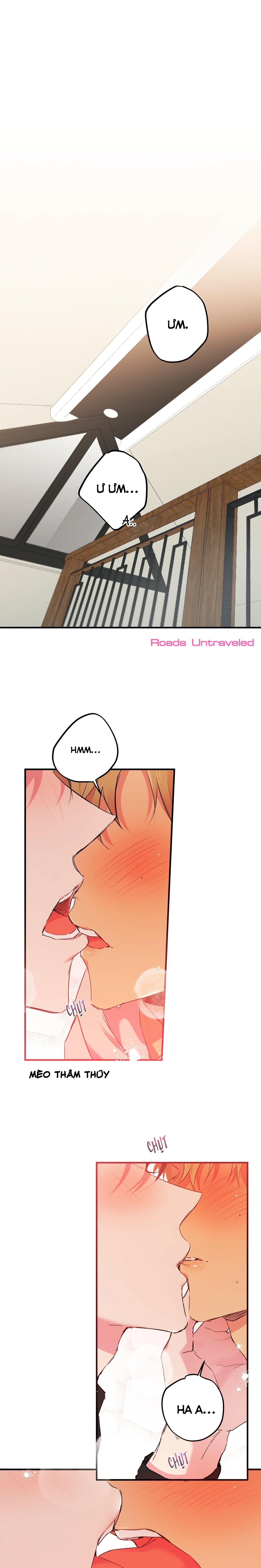 NHỮNG CHÚ THỎ CỦA HABIBI Chapter 11 - Next Chapter 12