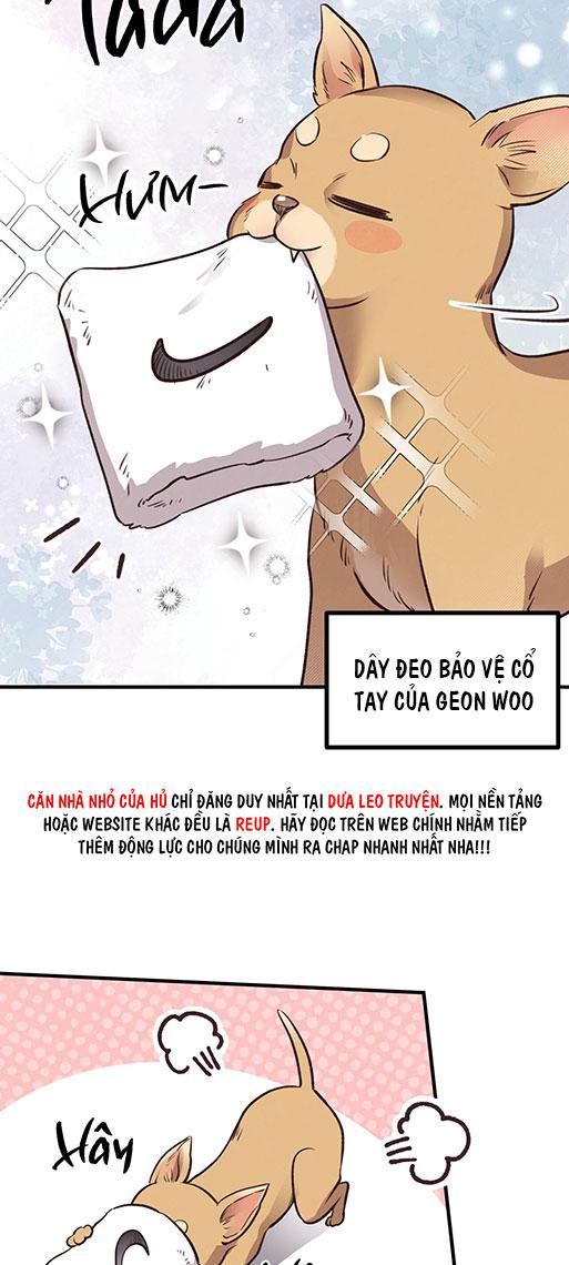 (END) MẬT GẤU Chapter 26 - Next Chapter 27