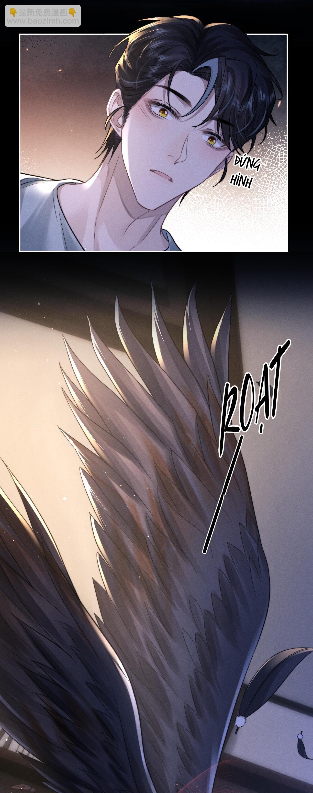 Chấp Sự Thỏ Tai Cụp Chapter 53.1 NT1 - Next Chapter 53.2