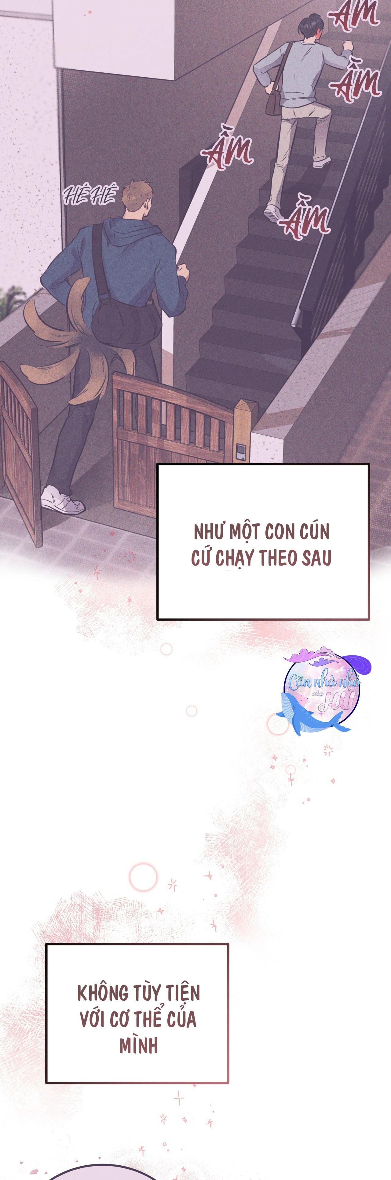 (END) MẬT GẤU Chapter 24 - Next Chapter 25