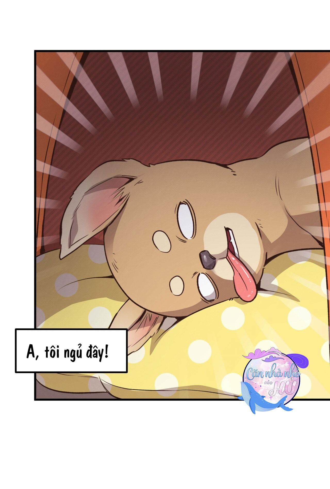 (END) MẬT GẤU Chapter 26 - Next Chapter 27