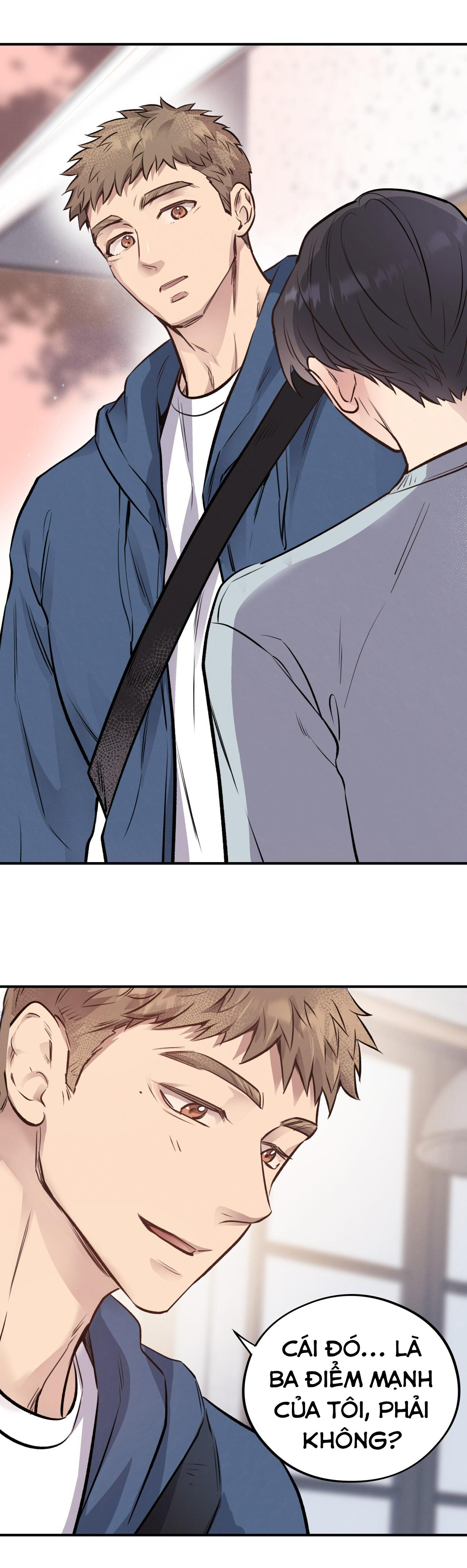 (END) MẬT GẤU Chapter 17 - Next Chapter 18