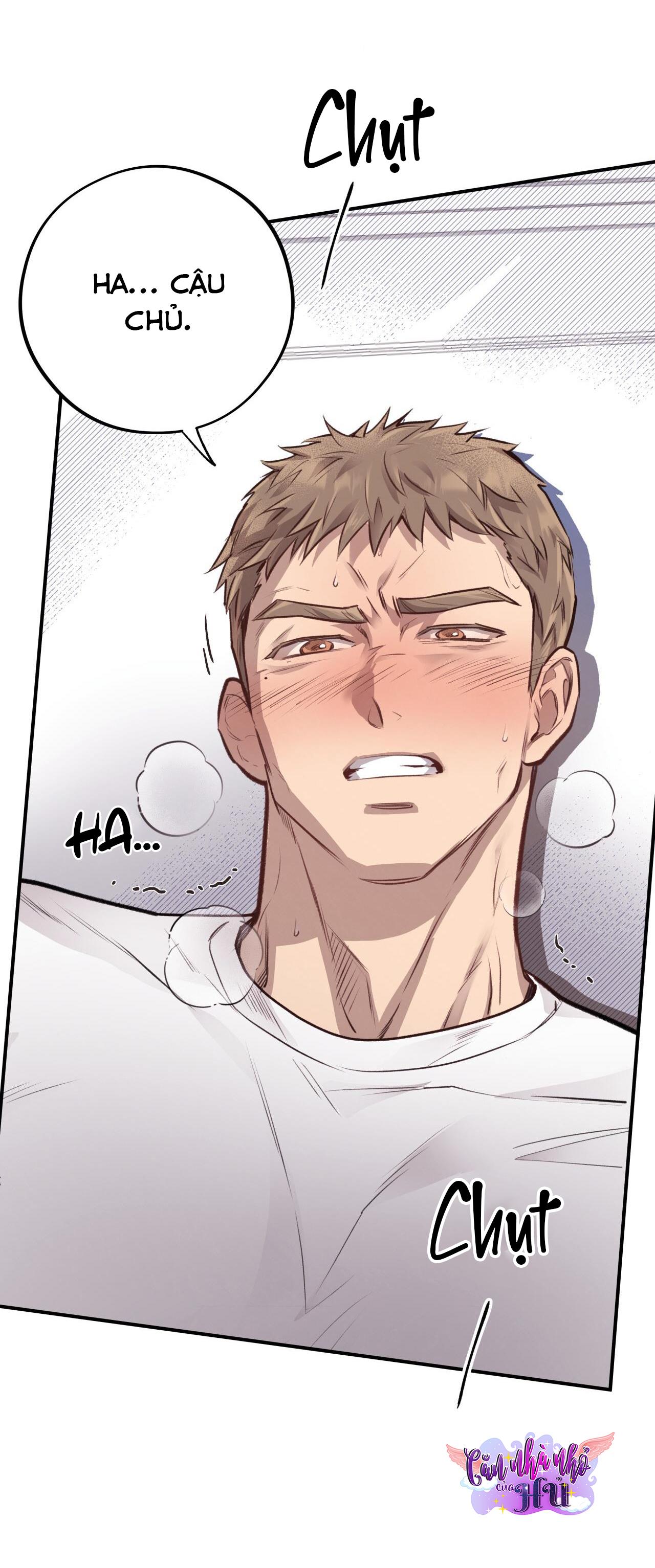 (END) MẬT GẤU Chapter 12 - Next Chapter 13