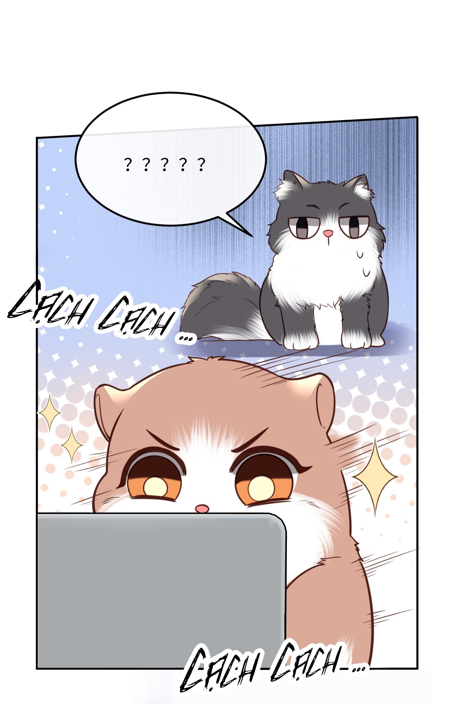 (END) Đặc Chế Cho Riêng Anh Chapter 44 - Next Chapter 45