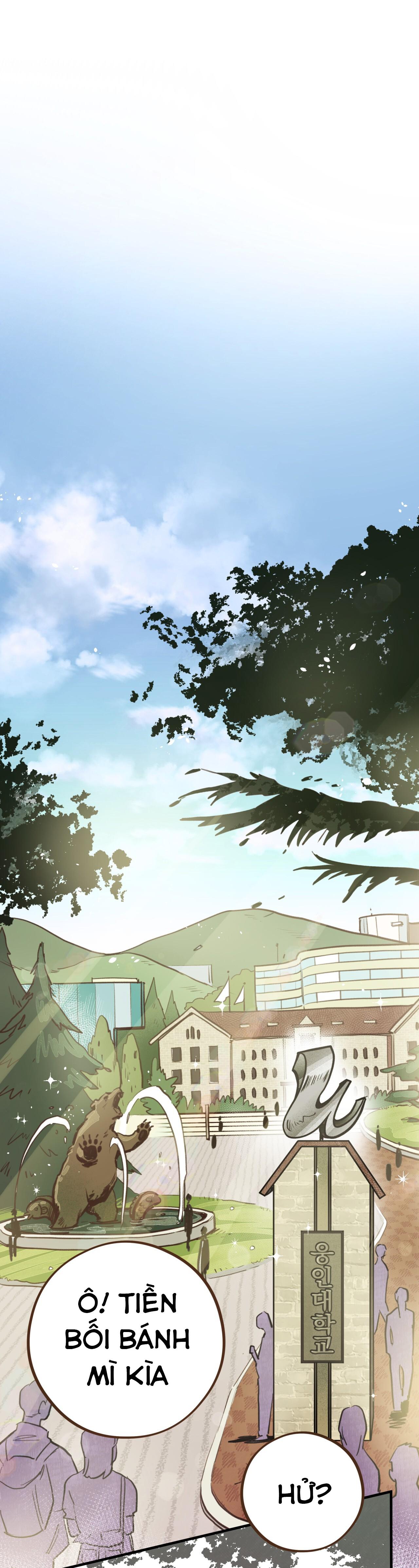 (END) MẬT GẤU Chapter 7 - Next Chapter 8