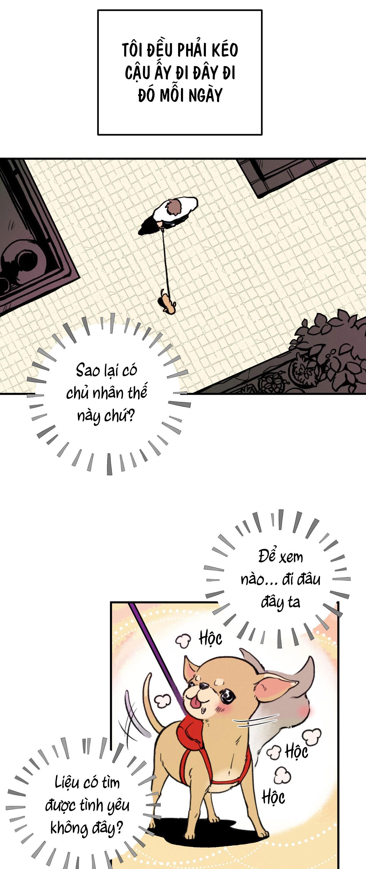 (END) MẬT GẤU Chapter 1 - Next Chapter 2
