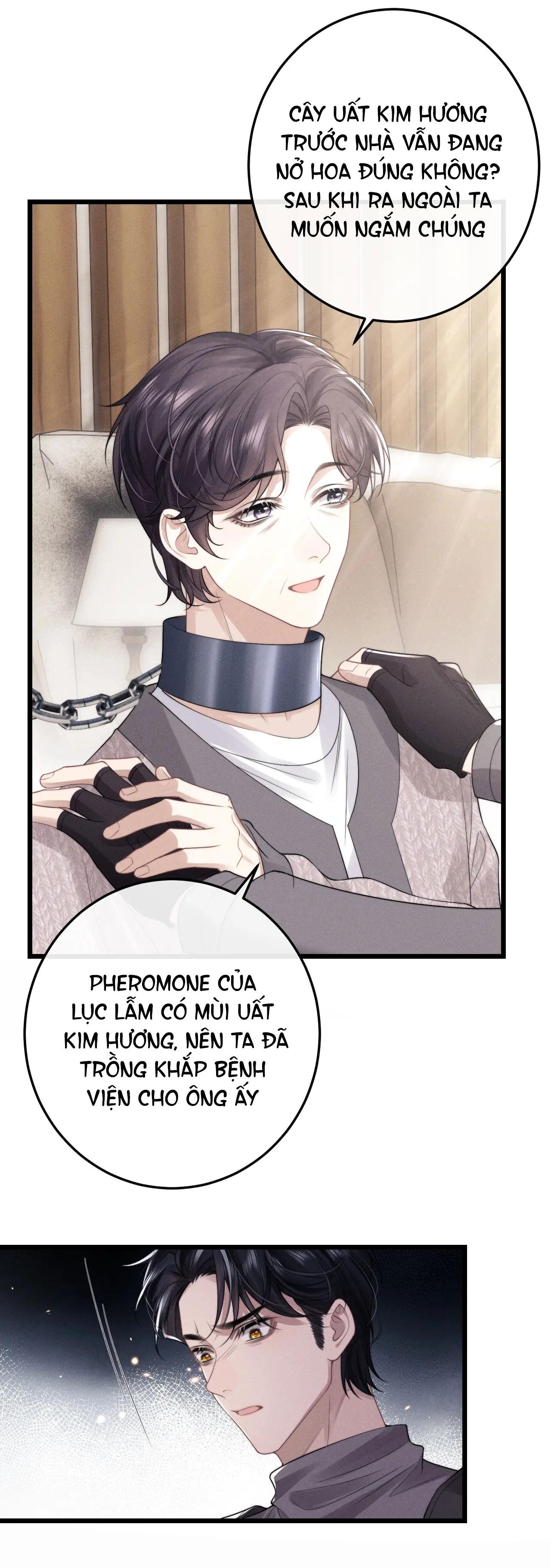 Chấp Sự Thỏ Tai Cụp Chapter 31 - Next Chapter 32