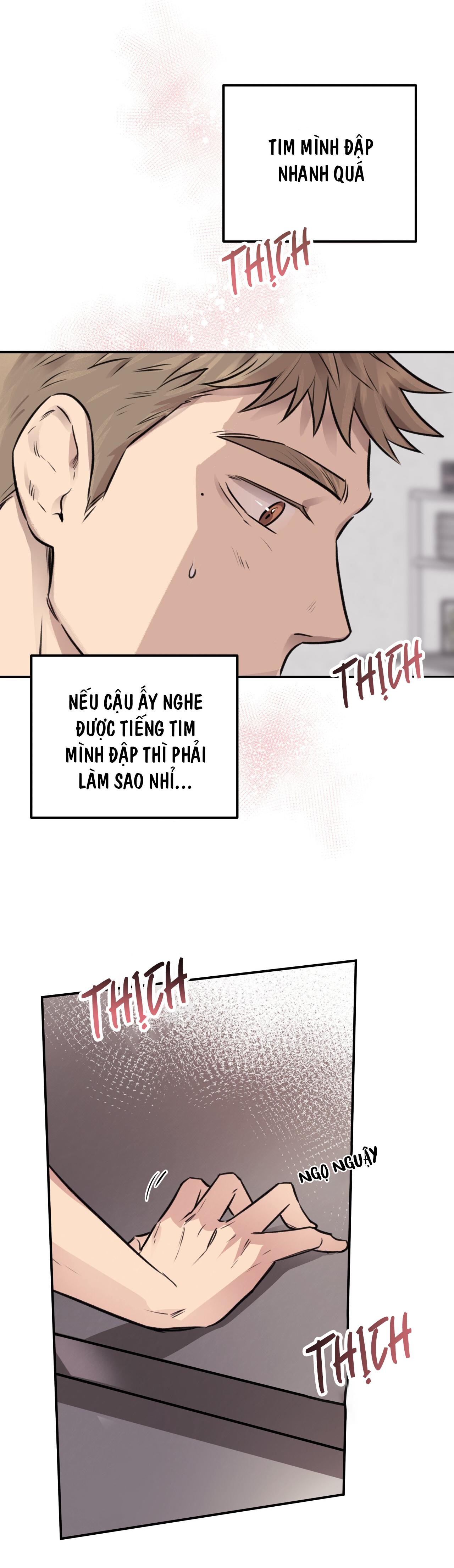 (END) MẬT GẤU Chapter 8 - Next Chapter 9