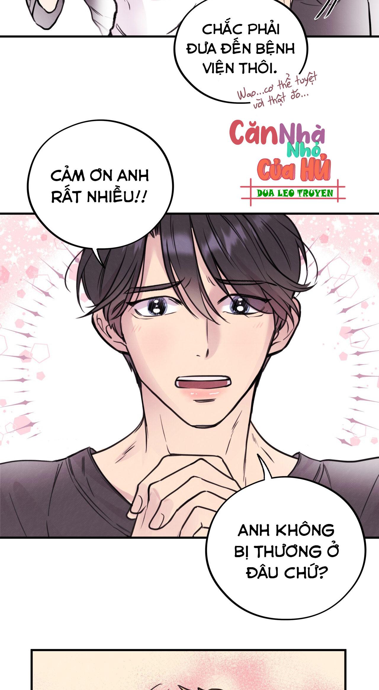 (END) MẬT GẤU Chapter 1 - Next Chapter 2