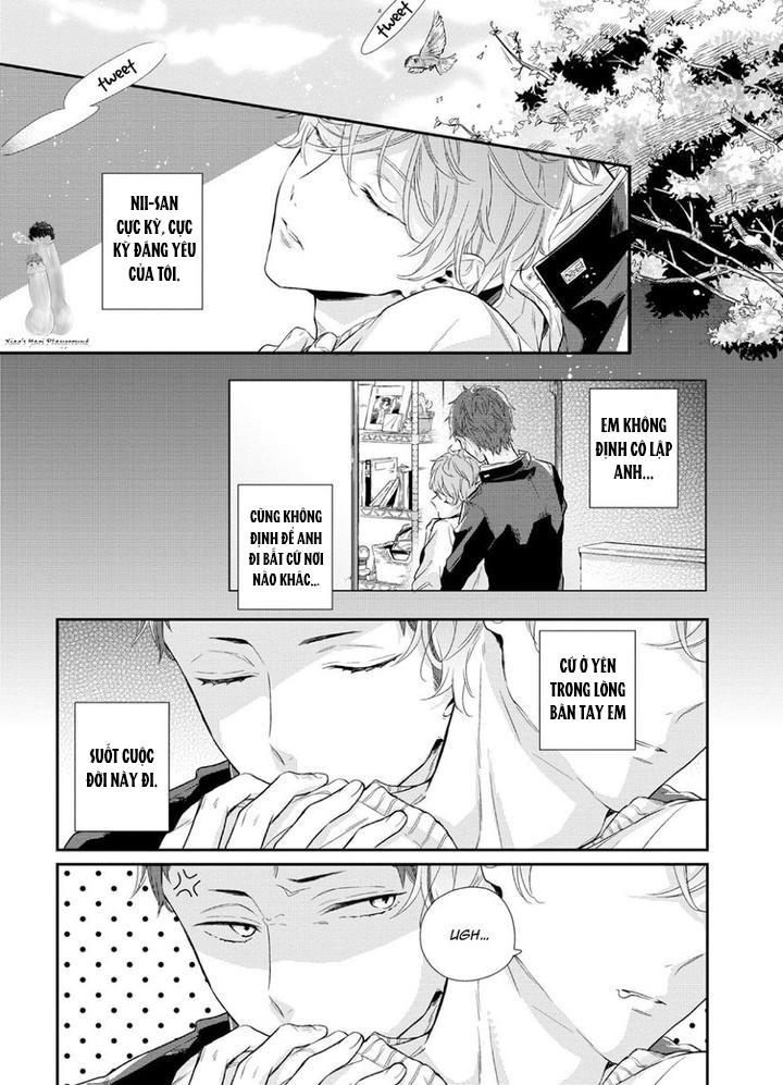 ONESHOT COI LÀ NỨNG Chapter 83 - Next Chapter 84