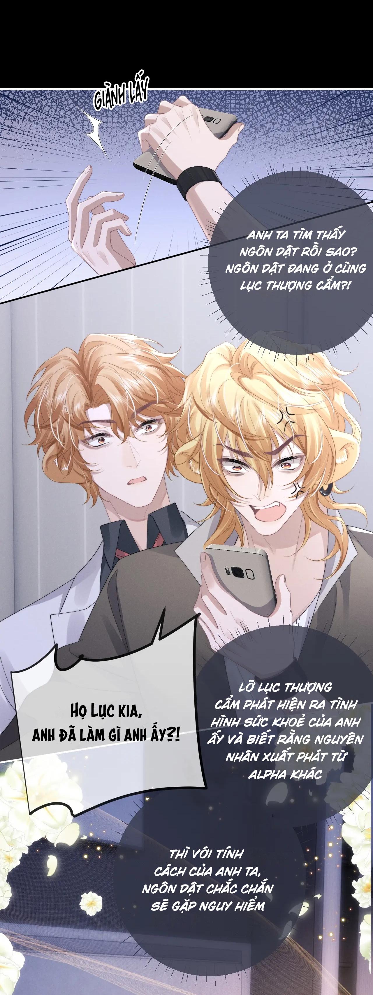 Chấp Sự Thỏ Tai Cụp Chapter 38 - Next Chapter 39