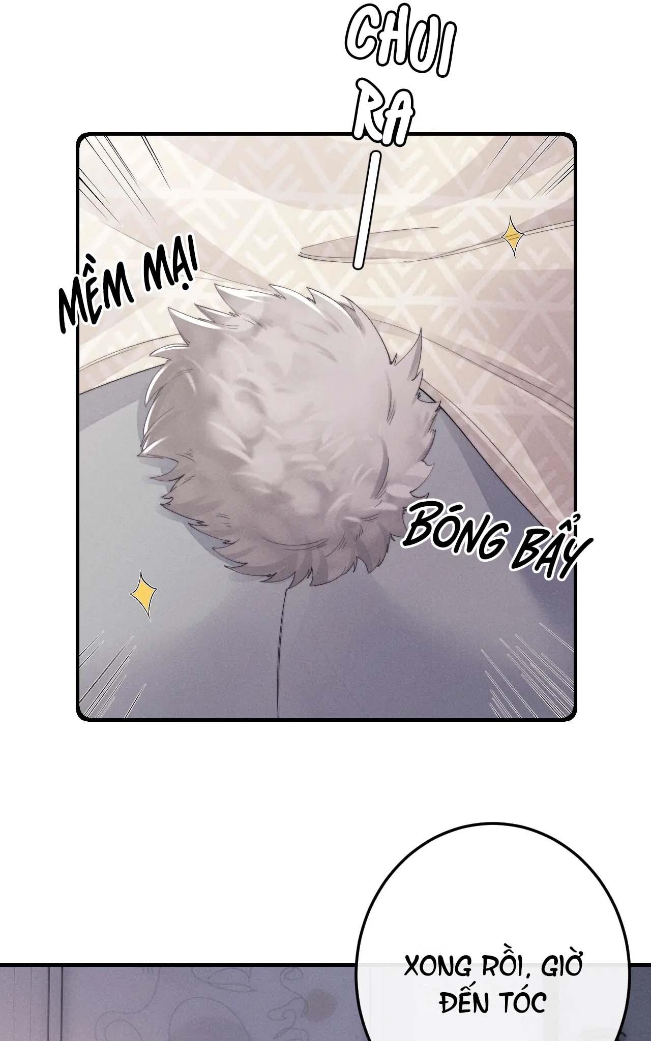 Chấp Sự Thỏ Tai Cụp Chapter 41 - Next Chapter 42